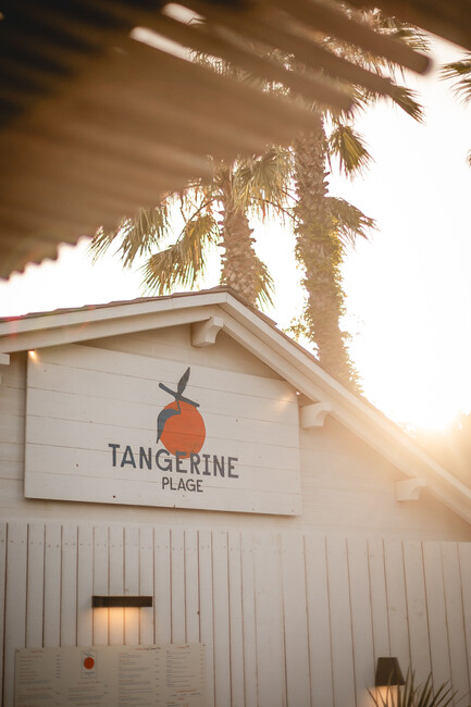 Tangerine Plage