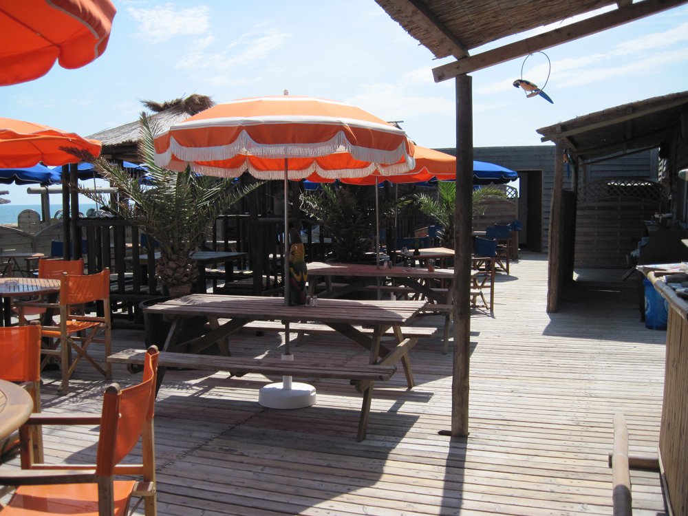 Bambou Palm Beach Photos