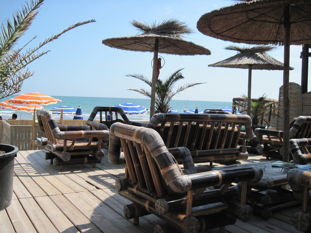 Bambou Palm Beach Photos