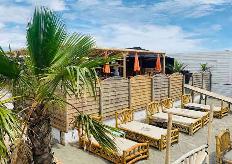 Bambou Palm Beach