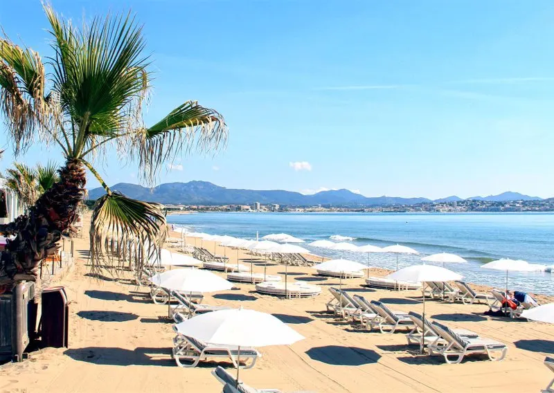 Bambusa Plage